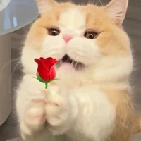 tùy nhân vật