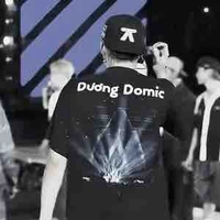 Trần Đăng Dương-Dương Domic