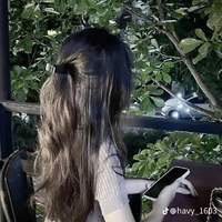 Hoàng Ly