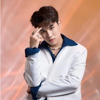 Hoàng Đức Duy( bông)