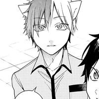 tamao akisame