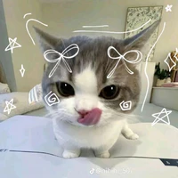Tác giả meomeo