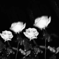 Cancer | A