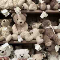Teddy búlonnn