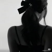 Trần Nguyệt Ánh - mẹ Quang Anh 