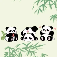 Panda MasterD