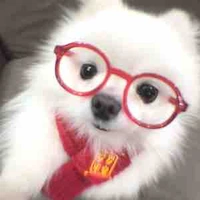 Cún không phải Wed đâu.