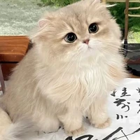 ??