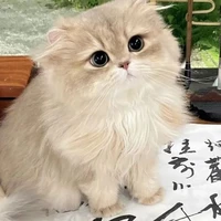 Oggy
