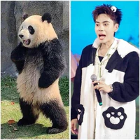 T/g gấu trúc🐼