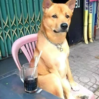 Thương Thanh Dương