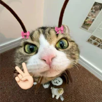 tác giả khờoo
