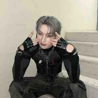Hongshi 