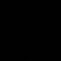 NV1
