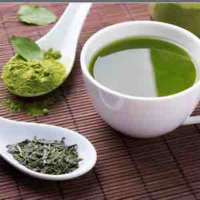 matcha