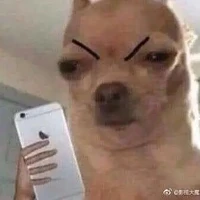 t/g