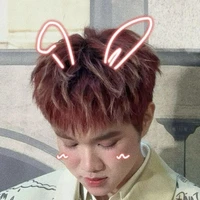 Cừu( hệ thống )