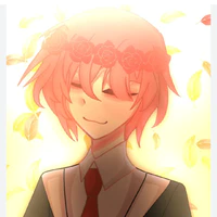 TT hiha