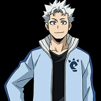 anh todoroki