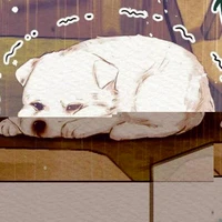 Jea shin ( Đầu thai)