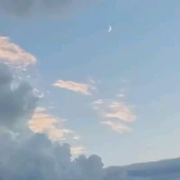 Dàn Harem(trừ ai cần trừ)