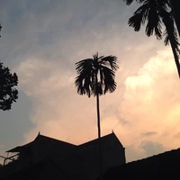 tg rảnh tay