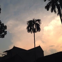 tg bận tay