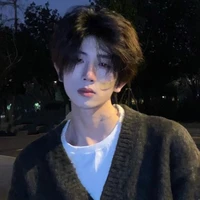 Lâm Đình Tuấn.