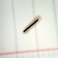  sắc ( sắc chó :) ) 