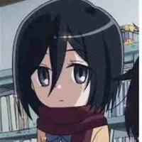 Mikasa ackerman 