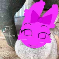 Pinki 