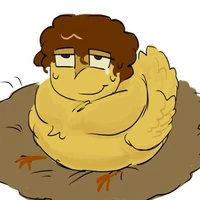 gà chiên ko dầu ( shedletsky)