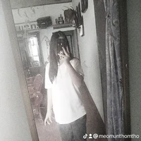yến