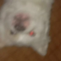 Tôi là Tổng Tài