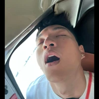 Trần Minh Hiếu (Hieuthuhai)