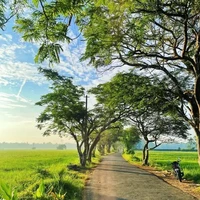 All (Đa nhân vật)