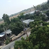 All (nhân vật chính)