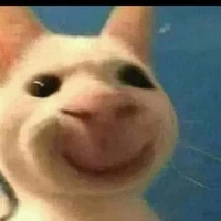 tg siuu đtraii☺