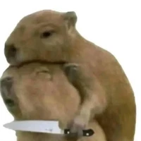 bị tg ép làm nv phụ🤡