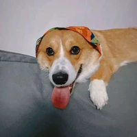 bobo