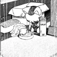 All -những ng cần -