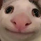 @All