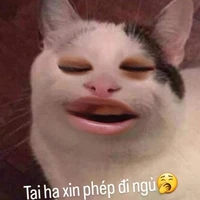 người đẻ ra bộ này