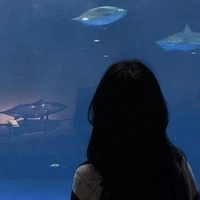 Chu An Như