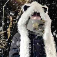 Trần Dịch Hằng 