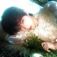 Hạ Tuấn Lâm