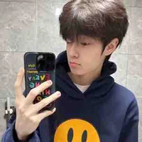 Song Jaehee
