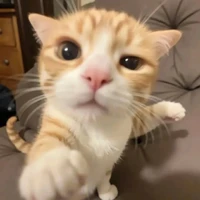 nhỏ tác giả mỏ hỗn 