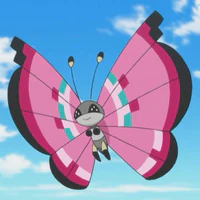 Vivillon - Viola