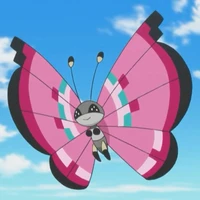 Vivillon - Viola